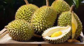 Buah Durian. Foto: Istimewa 