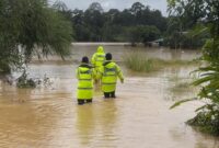 Ilustrasi. Foto: Istimewa 