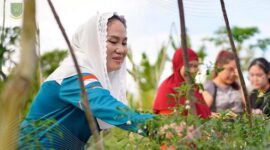 Bupati Natuna Cen Sui Lan saat menghadiri panen raya di Padang Angus, Desa Binjai, Kecamatan Bunguran Selatan. Foto: INIKEPRI.COM