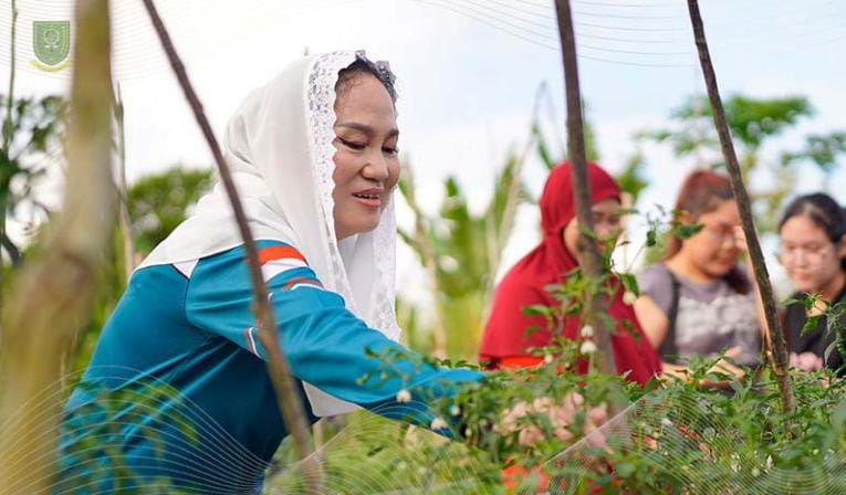 Bupati Natuna Cen Sui Lan saat menghadiri panen raya di Padang Angus, Desa Binjai, Kecamatan Bunguran Selatan. Foto: INIKEPRI.COM