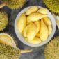 Durian. Foto: Istimewa 