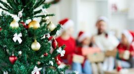 Ilustrasi. Foto: Istimewa 