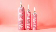 Whip Pink. Foto: Istimewa