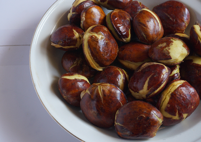 Jengkol. Foto: Istimewa