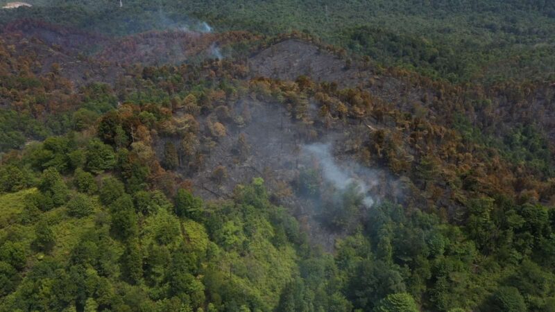 Kebakaran hutan lindung di Batuaji. Foto: Istimewa 