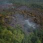 Kebakaran hutan lindung di Batuaji. Foto: Istimewa 