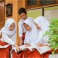 Ilustrasi. Foto: Istimewa 