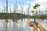 Ilustrasi. Foto: Istimewa 