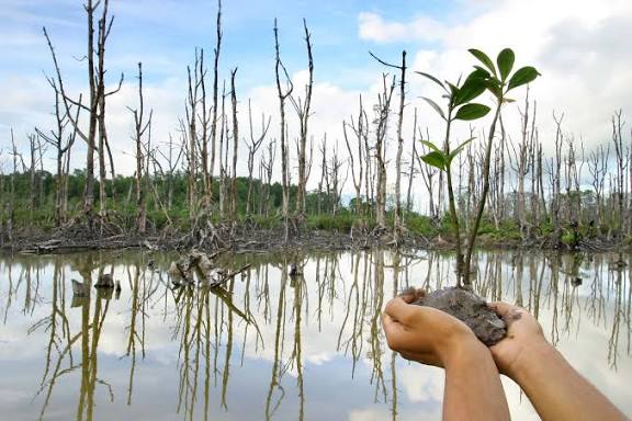 Ilustrasi. Foto: Istimewa