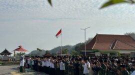 Ilustrasi. Foto: Istimewa 