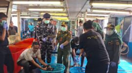 Ekspor perdana ikan hidup Natuna. Foto: Istimewa 