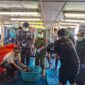 Ekspor perdana ikan hidup Natuna. Foto: Istimewa 