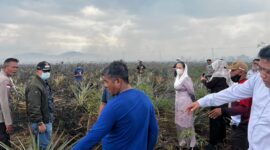 Bupati Natuna Cen Sui Lan dan Wakil Bupati Jarmin meninjau karhutla di kawasan Jalan Poros Batubi–Kelarik, Desa Gunung Putri, Kecamatan Bunguran Batubi, Selasa (24/3/2026). Foto: INIKEPRI.COM