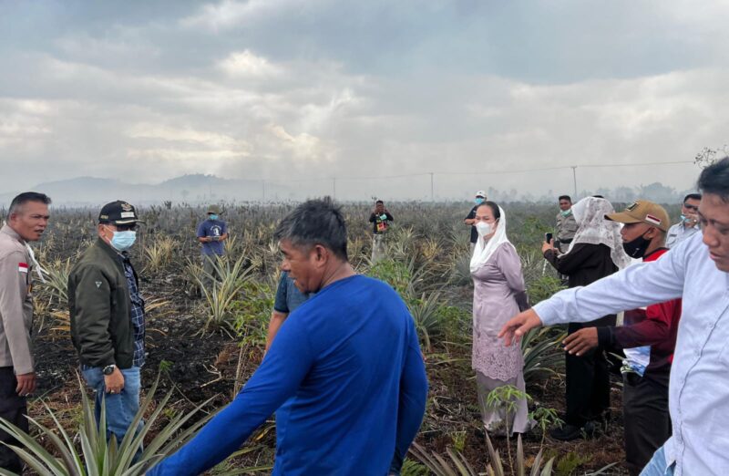 Bupati Natuna Cen Sui Lan dan Wakil Bupati Jarmin meninjau karhutla di kawasan Jalan Poros Batubi–Kelarik, Desa Gunung Putri, Kecamatan Bunguran Batubi, Selasa (24/3/2026). Foto: INIKEPRI.COM