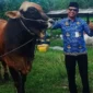 Kepala DKPP Natuna Wan Syazali melakukan pemantauan sapi kurban Presiden Prabowo Subianto pada April 2026 di Natuna. Foto: INIKEPRI.COM/DKPP