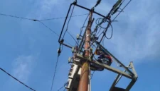 Ilustrasi. Foto: Istimewa 