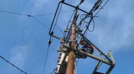 Ilustrasi. Foto: Istimewa 