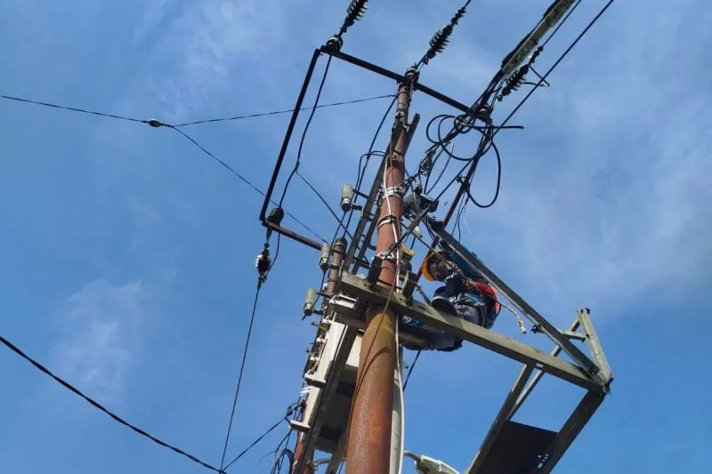 Ilustrasi. Foto: Istimewa 