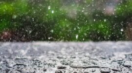 Ilustrasi. Foto: Istimewa 