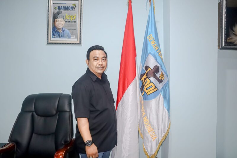 Ketua Umum KNPI Haris Pertama. Foto: Istimewa 