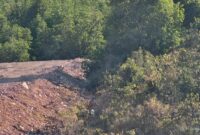 Cut and Fill di Panaran. Foto: INIKEPRI.COM