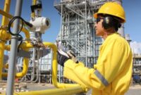Petugas PLN Batam melakukan pengecekan pemeliharaan rutin pembangkit listrik. Foto: INIKEPRI.COM/PLN Batam
