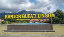 Kantor Bupati Lingga. Foto: istimewa 