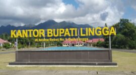 Kantor Bupati Lingga. Foto: istimewa 