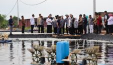 Rombongan Komisi IX DPR RI Masa saat meninjau tambak budidaya udang vaname PT Win Win Shrimp di Tanjungpinang. Foto: INIKEPRI.COM/KepriProv 