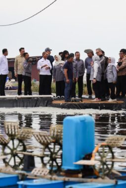 Komisi IX DPR RI Tinjau Tambak Udang di Tanjungpinang, Dorong Investasi dan Serapan Tenaga Kerja