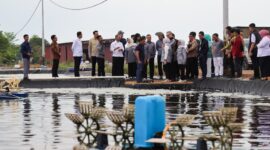 Rombongan Komisi IX DPR RI Masa saat meninjau tambak budidaya udang vaname PT Win Win Shrimp di Tanjungpinang. Foto: INIKEPRI.COM/KepriProv 
