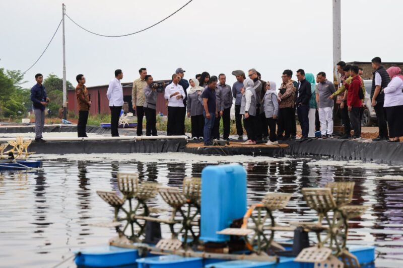Rombongan Komisi IX DPR RI Masa saat meninjau tambak budidaya udang vaname PT Win Win Shrimp di Tanjungpinang. Foto: INIKEPRI.COM/KepriProv 