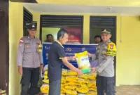 Penyerahan Bantuan dari PLN Batam untuk Warga Serasan. Foto: INIKEPRI.COM