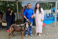 Anggota/Deputi Bidang Pelayanan Umum Ariastuty Sirait saat menyerahkan hewan kurban. Foto: BP Batam 