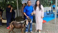Anggota/Deputi Bidang Pelayanan Umum Ariastuty Sirait saat menyerahkan hewan kurban. Foto: BP Batam