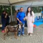 Anggota/Deputi Bidang Pelayanan Umum Ariastuty Sirait saat menyerahkan hewan kurban. Foto: BP Batam 