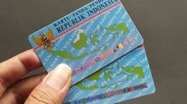 Ilustrasi. Foto: Istimewa 