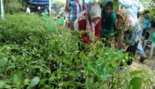 Ilustrasi. Foto: Istimewa 