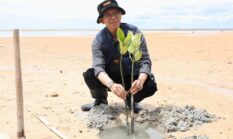 Amsakar Tanam 2.000 Mangrove Bersama Mahasiswa UNRIKA, Serukan Gerakan Menyelamatkan Bumi