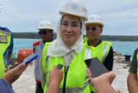 Bupati Natuna Cen Sui Lan. Foto: Istimewa 
