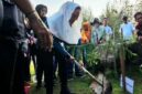 Bupati Natuna Cen Sui Lan menanam pohon di hari lingkungan hidup sedunia. Foto: ANTARA/Muhamad Nurman 