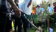 Bupati Natuna Cen Sui Lan menanam pohon di hari lingkungan hidup sedunia. Foto: ANTARA/Muhamad Nurman 