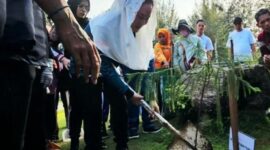 Bupati Natuna Cen Sui Lan menanam pohon di hari lingkungan hidup sedunia. Foto: ANTARA/Muhamad Nurman 