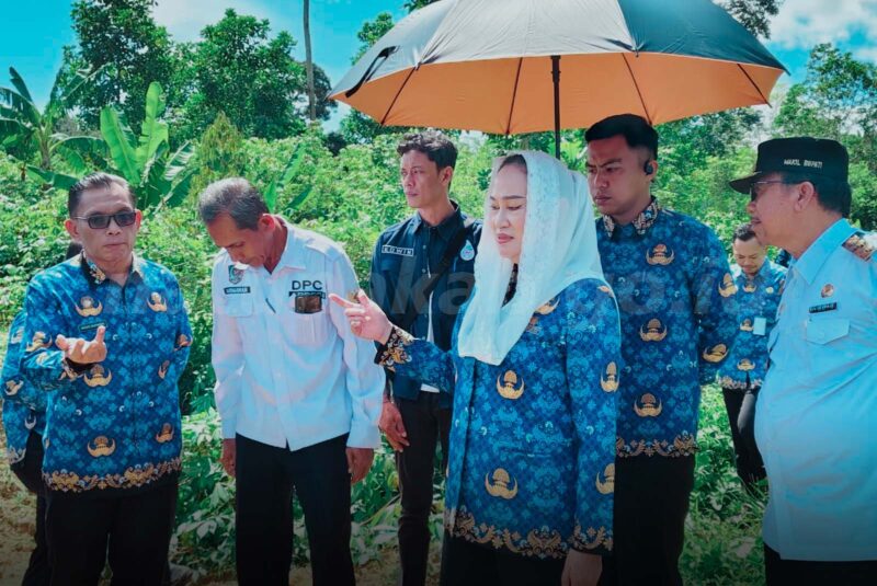 Bupati Natuna Cen Sui Lan meninjau kegiatan normalisasi sungai di dua desa wilayah Kecamatan Bunguran Timur Laut yang mulai dikerjakan oleh rekanan BWSS. Foto: INIKEPRI.COM/NatunaKab