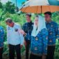 Bupati Natuna Cen Sui Lan meninjau kegiatan normalisasi sungai di dua desa wilayah Kecamatan Bunguran Timur Laut yang mulai dikerjakan oleh rekanan BWSS. Foto: INIKEPRI.COM/NatunaKab 