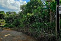 Jalan masuk ke RTK. Foto: ANTARA