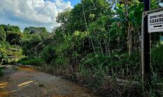 Pemkab Natuna Sediakan Rumah Tunggu Kelahiran, Permudah Akses Persalinan bagi Warga Kepulauan