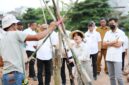Wakil Wali Kota Batam, Li Claudia Chandra, menanam pohon di kawasan DAS Baloi Indah. Foto: INIKEPRI.COM/Media Center Batam