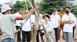 Wakil Wali Kota Batam, Li Claudia Chandra, menanam pohon di kawasan DAS Baloi Indah. Foto: INIKEPRI.COM/Media Center Batam 