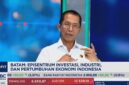 Kepala BP Batam Amsakar Achmad dalam wawancara bersama CNBC Indonesia. Foto: Tangkapan Layar 